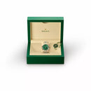 Rolex Sky-Dweller 42mm