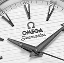 Omega Seamaster Aqua Terra 150M 38mm